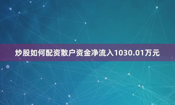 炒股如何配资散户资金净流入1030.01万元
