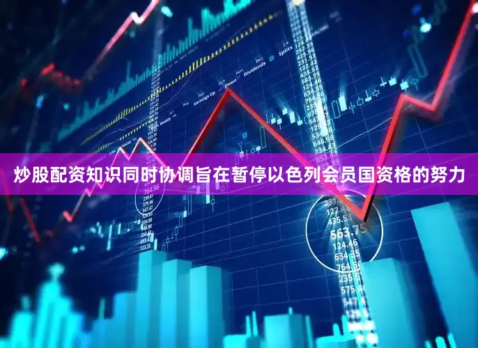 炒股配资知识同时协调旨在暂停以色列会员国资格的努力
