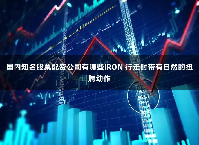 国内知名股票配资公司有哪些IRON 行走时带有自然的扭胯动作