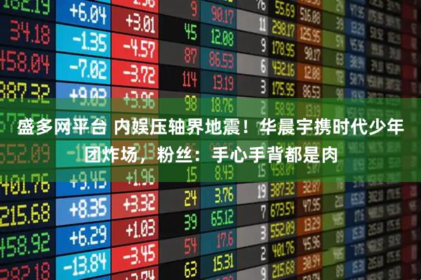 盛多网平台 内娱压轴界地震！华晨宇携时代少年团炸场，粉丝：手心手背都是肉